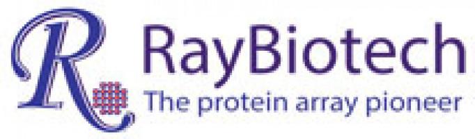 Ray Biotech